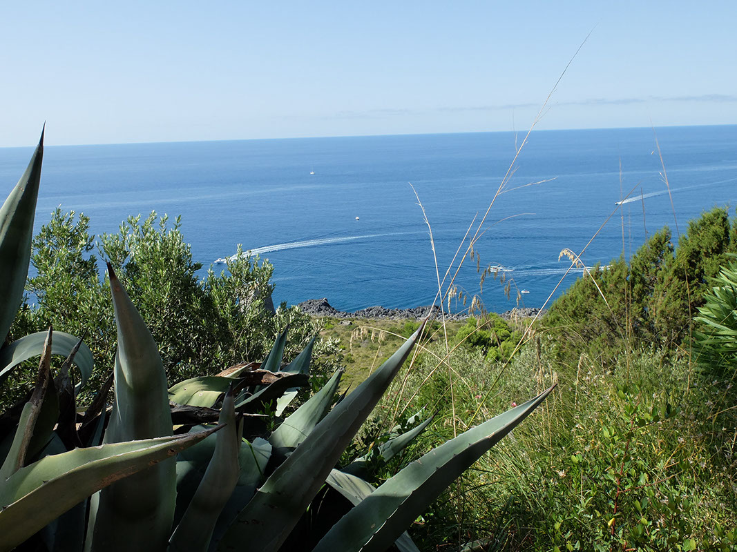 AFFITTO CASE VACANZA Marina di Camerota: appartamenti, case sul mare, ville - Villa Perino